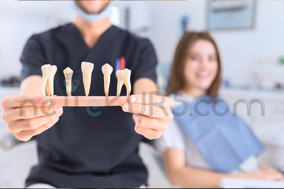 Diş Hekimliğinde Uzmanlık Yönetmeliği Nedir? Diş Hekimliğinde Uzmanlık Kaç Yıl?